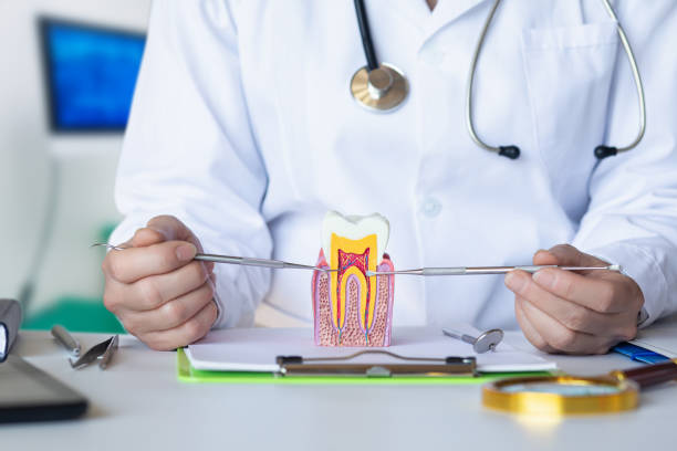 Best Broken or Cracked Tooth Emergency Dentist in Ross, CA